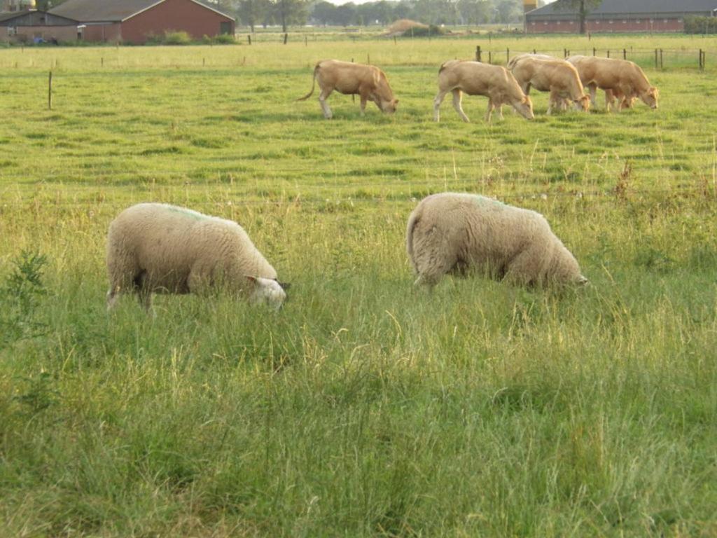 Apartmán Landrust Horssen Exteriér fotografie
